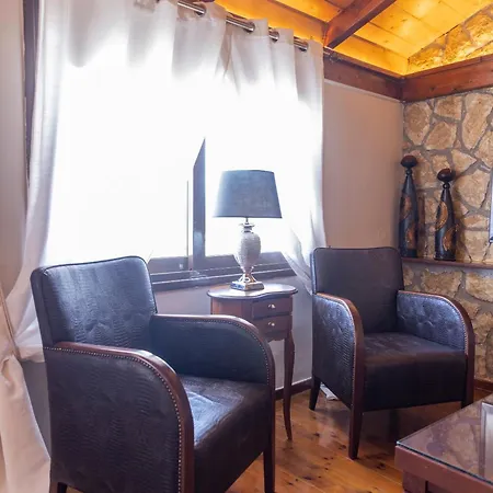 Stonewood House 公寓 特里卡拉